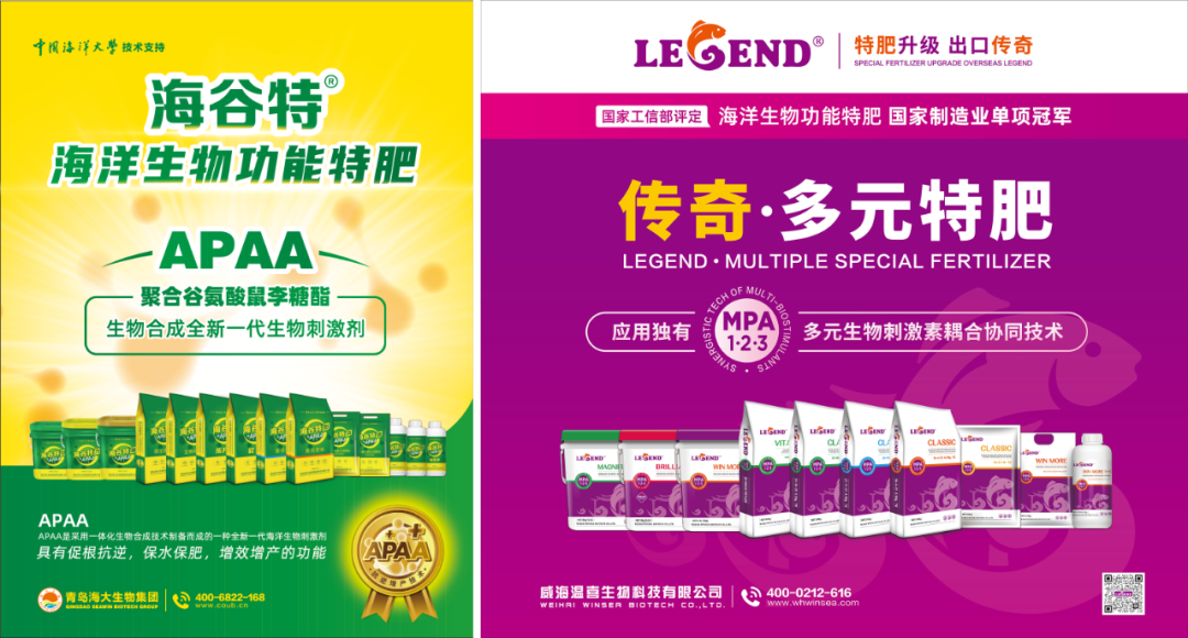 助力国际特肥行业发展,德晋贵宾厅集团荣获三项大奖